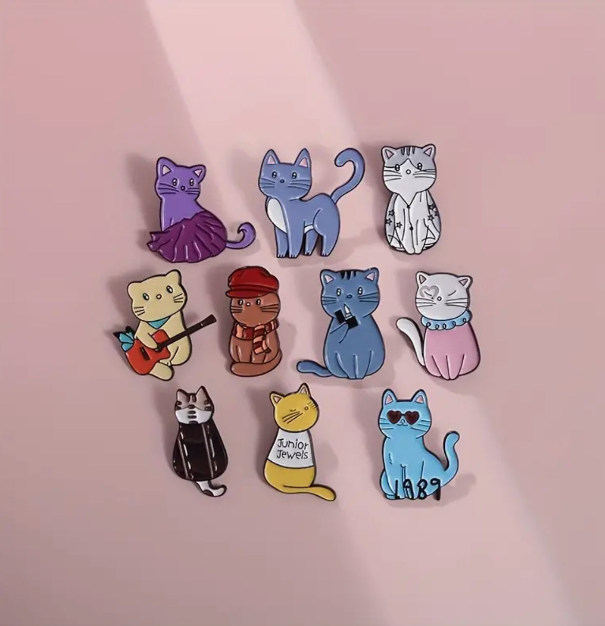 Tay Swift Album Inspired Cat Pins