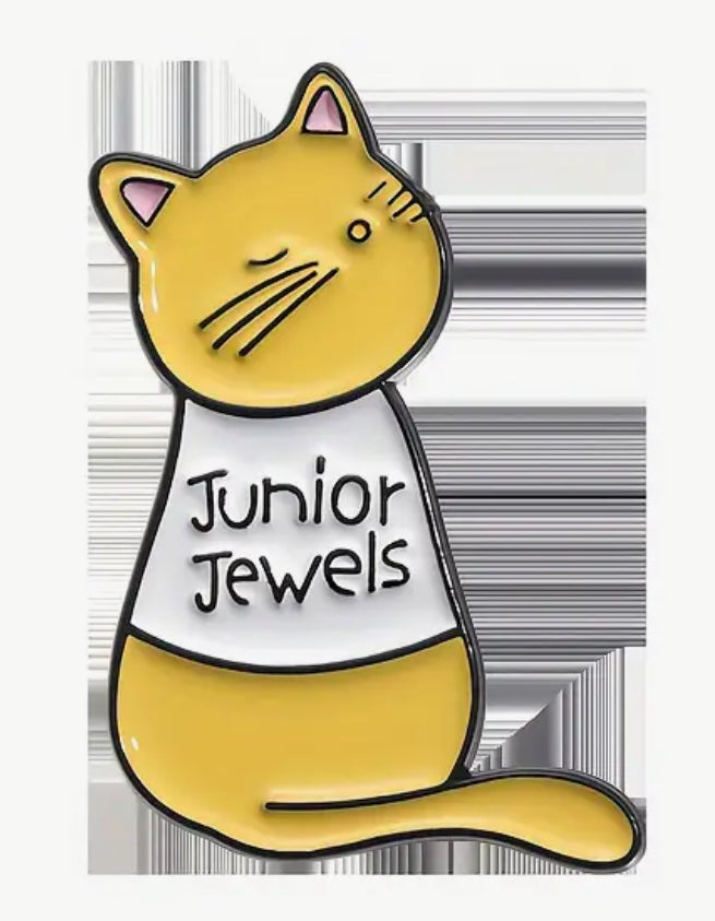 Tay Swift Album Inspired Cat Pins
