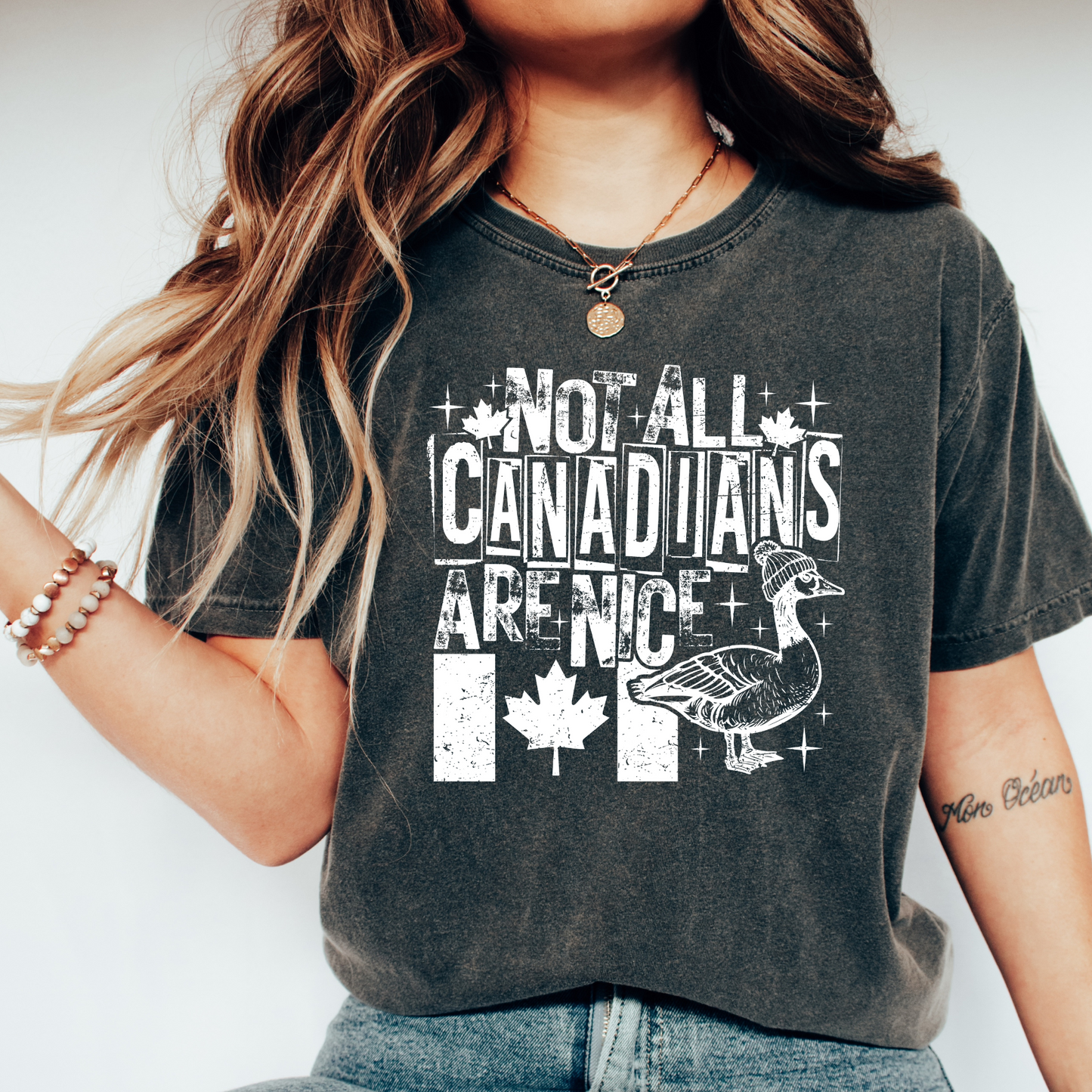 Not All Canadians are nice T Shirt